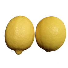 China Wholesale New crop Fresh Yellow Lemon with Best Price